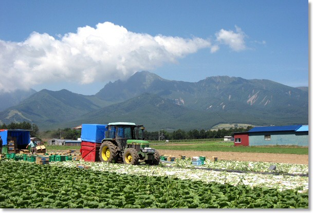 高原野菜のふるさと 信州 みなみまき村 長野県南佐久郡南牧村 ホームページ